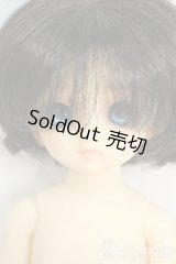 幼SD/パピ Y-26-01-21-263-TN-ZY