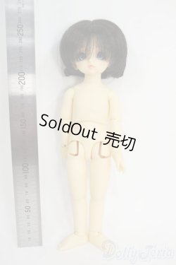 画像2: 幼SD/パピ Y-26-01-21-263-TN-ZY