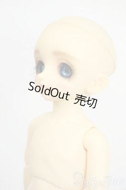 画像3: 幼SD/パピ Y-26-01-21-263-TN-ZY