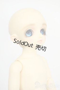 画像4: 幼SD/パピ Y-26-01-21-263-TN-ZY