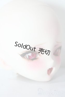 画像3: DDH-10カスタムヘッド（luceluce様）/BJD　球体関節人形 A-26-01-21-1035-TN-ZU