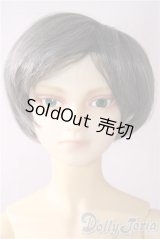 SD13BOY/フルチョイスF-30 U-26-01-28-210-TN-ZU