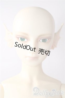 画像6: SD13BOY/フルチョイスF-30 U-26-01-28-210-TN-ZU