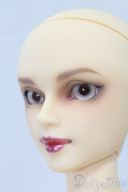 画像7: SD16G/アイリス　ヘッド I-26-02-08-055-TN-ZI