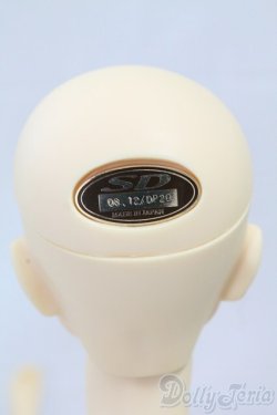 画像8: SD16G/アイリス　ヘッド I-26-02-08-055-TN-ZI