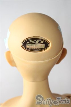 画像7: SD17男の子/橘　四郎 U-26-01-28-213-TN-ZU