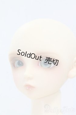 画像7: SD13/翔 I-26-02-08-057-TN-ZI