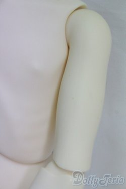 画像3: SD13BOY/ボディ I-26-02-01-269-TN-ZI