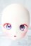 画像1: DD/DDH-27 (カスタマー様)カスタムヘッド/BJD　球体関節人形 A-26-01-21-1066-TN-ZA (1)