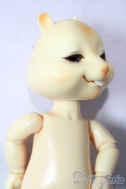 画像2: nobility doll/citrus scon/ A-26-01-21-1080-TN-ZA