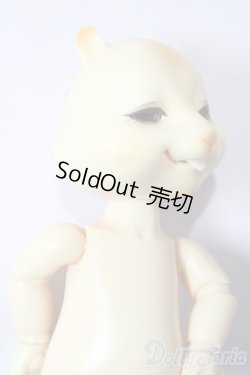 画像2: nobility doll/citrus scon/ A-26-01-21-1080-TN-ZU