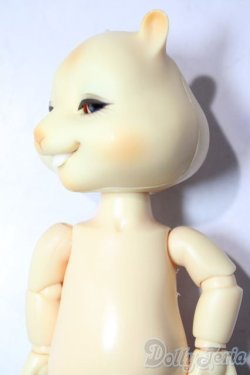 画像3: nobility doll/citrus scon/ A-26-01-21-1080-TN-ZA