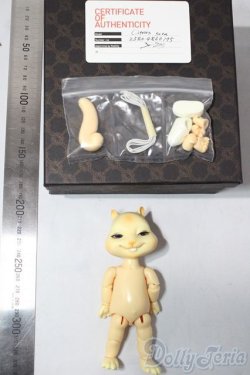 画像5: nobility doll/citrus scon/ A-26-01-21-1080-TN-ZA