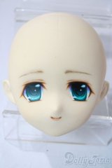 parabox/60-06カスタムヘッド/ A-26-01-21-1098-TN-ZA