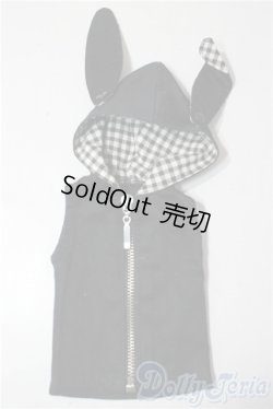 画像1: SDM＆MSD/OF:パーカー U-26-01-28-125-TN-ZU