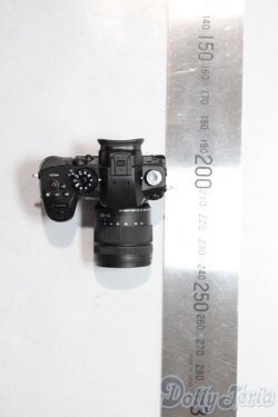 画像2: SD/OF:小物 A-26-01-28-1045-TN-ZU