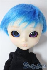 カスタムプーリップ/本体 A-26-01-28-1059-TN-ZU