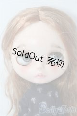 作家様製カスタムネオブライス本体＆衣装 A-26-01-28-1061-TN-ZU