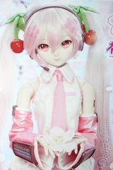 DD/桜ミク　2.0 A-26-02-11-1099-TN-ZU