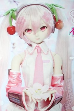 画像1: DD/桜ミク　2.0 A-26-02-11-1099-TN-ZU