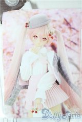 DD/OF:「お花見コーデ」セット A-26-02-04-1037-TN-ZU