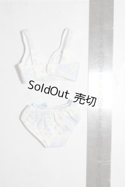 画像2: MDD/OF:下着 A-26-02-04-1071-TN-ZU