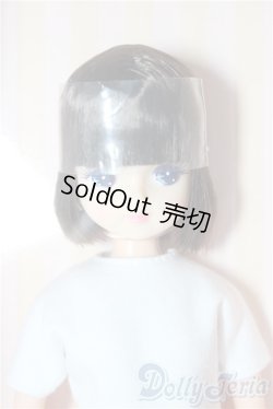 画像1: キャッスル/きらちゃん 2020年S/キャッスルコレクション(モデルNo.12164) A-26-02-04-1002-TN-ZU