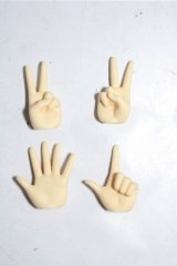 MDD/OF:小物 A-26-02-04-1083-TN-ZU