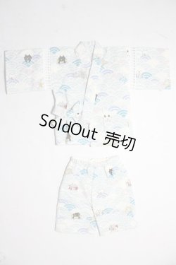 画像1: SDM＆MSD/OF:衣装セット U-26-02-04-173-TN-ZU