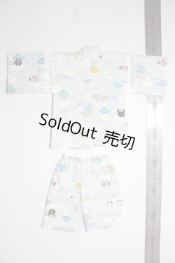 画像2: SDM＆MSD/OF:衣装セット U-26-02-04-173-TN-ZU