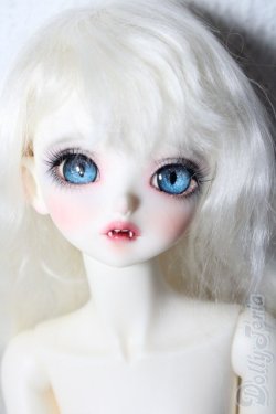 画像1: PEAK'S WOODS/FOB V.lady bee kitten blue limited A-26-02-11-1097-TN-ZU