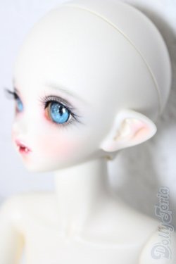 画像2: PEAK'S WOODS/FOB V.lady bee kitten blue limited A-26-02-11-1097-TN-ZU