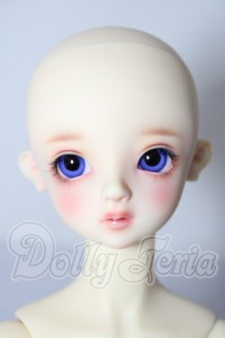 画像2: SD/アダプションモデル:ニコ U-26-02-18-219-TN-ZU