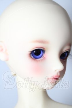 画像3: SD/アダプションモデル:ニコ U-26-02-18-219-TN-ZU