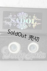 18ｍｍ/レジンアイ　SADOL製 U-26-02-25-003-TN-ZU