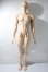 画像2: UFDOLL/75cm Male Body Ver.1 A-25-02-25-1100-TN-ZU (2)
