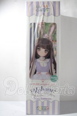 画像2: こはる／Poppin’bunny garden （Fancy Rabbit ver．） A-25-02-25-1098-TN-ZU