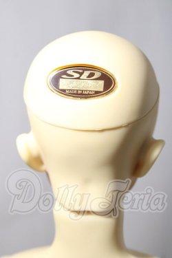 画像5: sd13男の子/ヒース U-26-02-25-215-TN-ZU