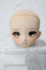 OBドール/DENKAカスタムヘッド A-25-02-25-1065-TN-ZU