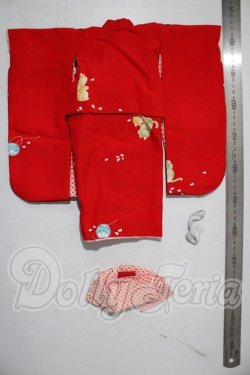 画像2: SDM＆MSD/OF:着物セット U-26-03-04-092-TN-ZU