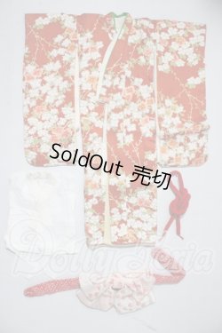 画像1: SDM/OF：着物セット U-26-03-04-093-TN-ZU