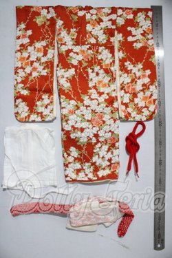 画像2: SDM/OF：着物セット U-26-03-04-093-TN-ZU