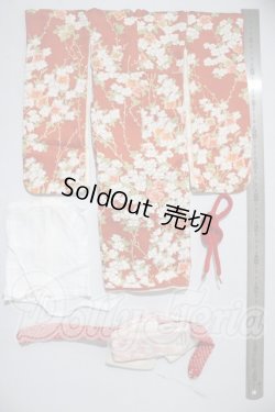 画像2: SDM/OF：着物セット U-26-03-04-093-TN-ZU