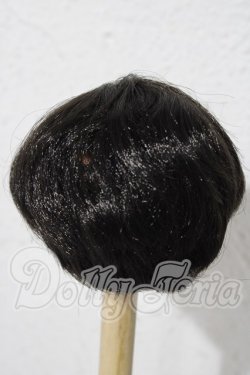 画像2: 8-9inch/ウィッグ U-26-03-04-024-TN-ZU