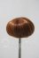 画像2: 3.5inch-4inch/ウィッグ A-26-03-04-1003-TN-ZU (2)