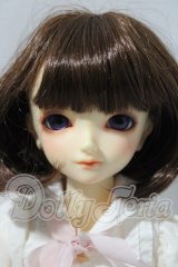 SDＭ/スタンダードモデルひな U-26-03-04-219-TN-ZU