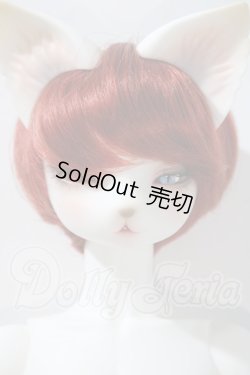 画像1: DEARMINE/LUNE COOL　文豪 limited ver. A-26-03-04-1080-TN-ZU