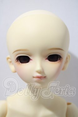 画像2: MSD/フルチョイス：MSD-F-17　本体 U-26-03-04-218-TN-ZU