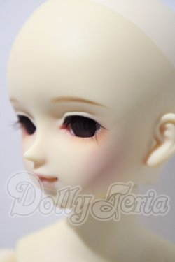 画像4: MSD/フルチョイス：MSD-F-17　本体 U-26-03-04-218-TN-ZU