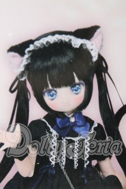 画像1: からふるDreamin’／めばえ 〜A Gift from M．K．〜（黒猫ver．） I-26-05-28-413-TN-ZI